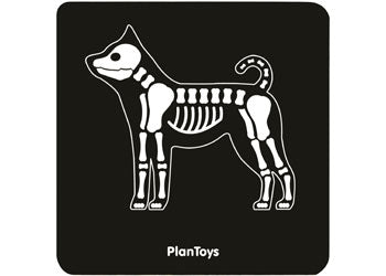 PlanToys | Vet Set | Artock Australia