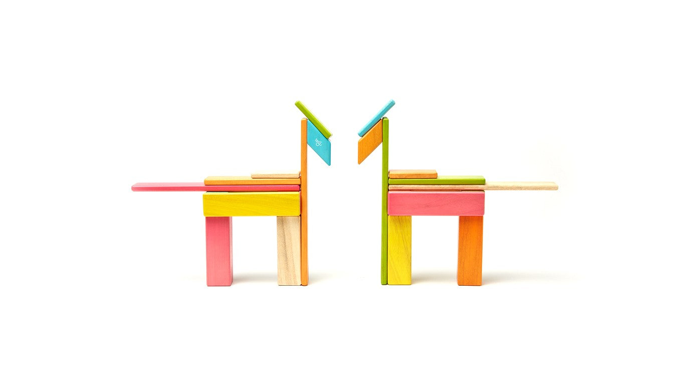 Tegu | Magnetic Wooden Blocks Tints 24pc | Artock Australia