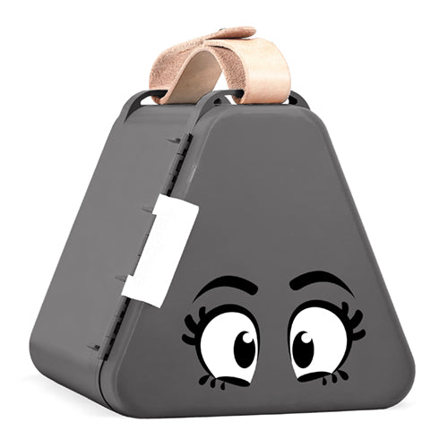 Teebee Box Eye Stickers Pack of 6