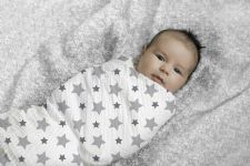 Aden and Anais - twinkle classic 4-pack muslin swaddle - Artock Australia