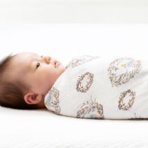 Aden and Anais - birdsong 4 PACK CLASSIC SWADDLE - Artock Australia