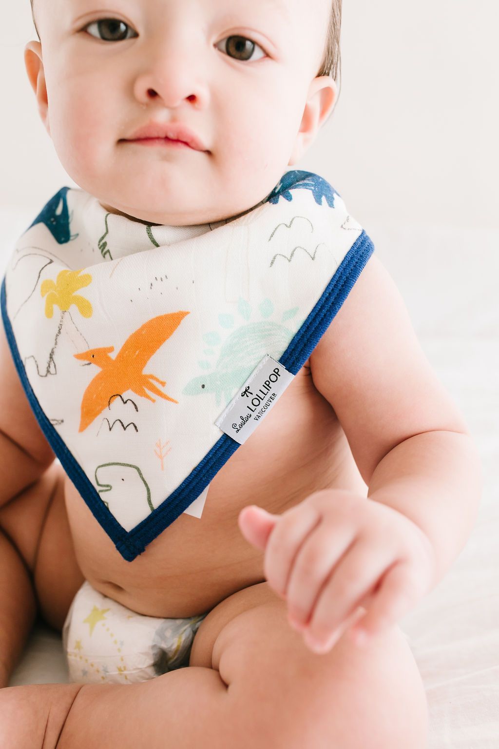 Loulou Lollipop | Bandana Bib Set - Dinoland | Artock Australia