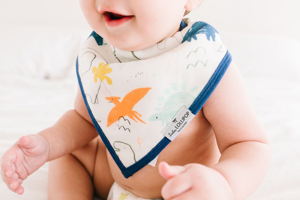 Loulou Lollipop | Bandana Bib Set - Dinoland | Artock Australia