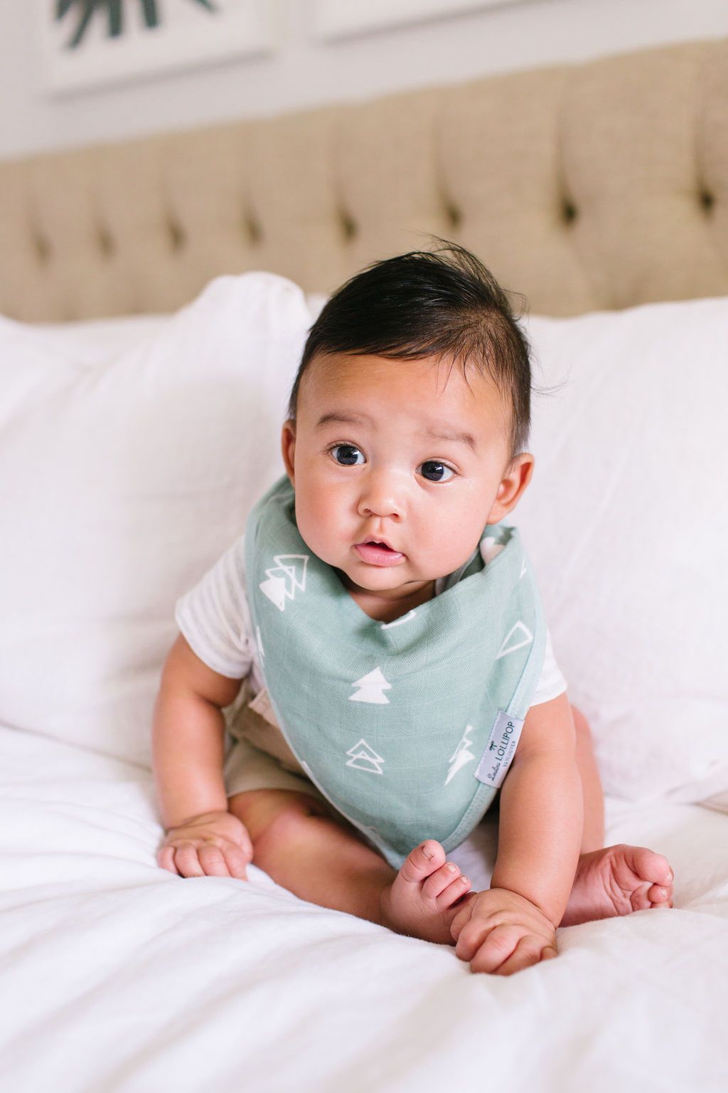 Loulou Lollipop | Bandana Bib Set - Forest Friends | Artock Australia