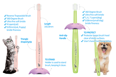 Cat 2024 toothbrush australia