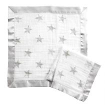 aden by aden and anais - dusty issie muslin security blankets 2pack - Artock Australia