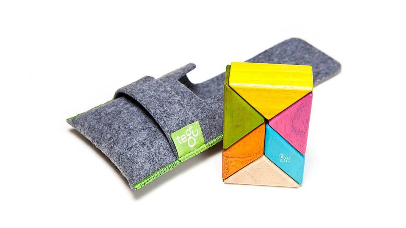 Tegu | Prism Pocket Pouch Tints 6pc | Artock Australia